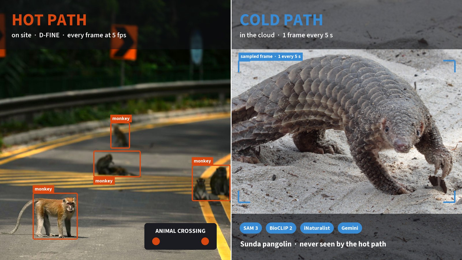 How Do You Detect an Animal You've Never Seen?